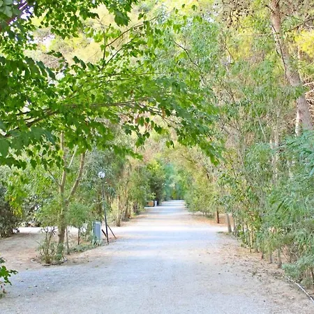 Camping Villaggio Sentinella *